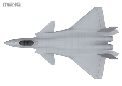1/48 Chinese J-20 Stealth Fighter Plastic Model Kit